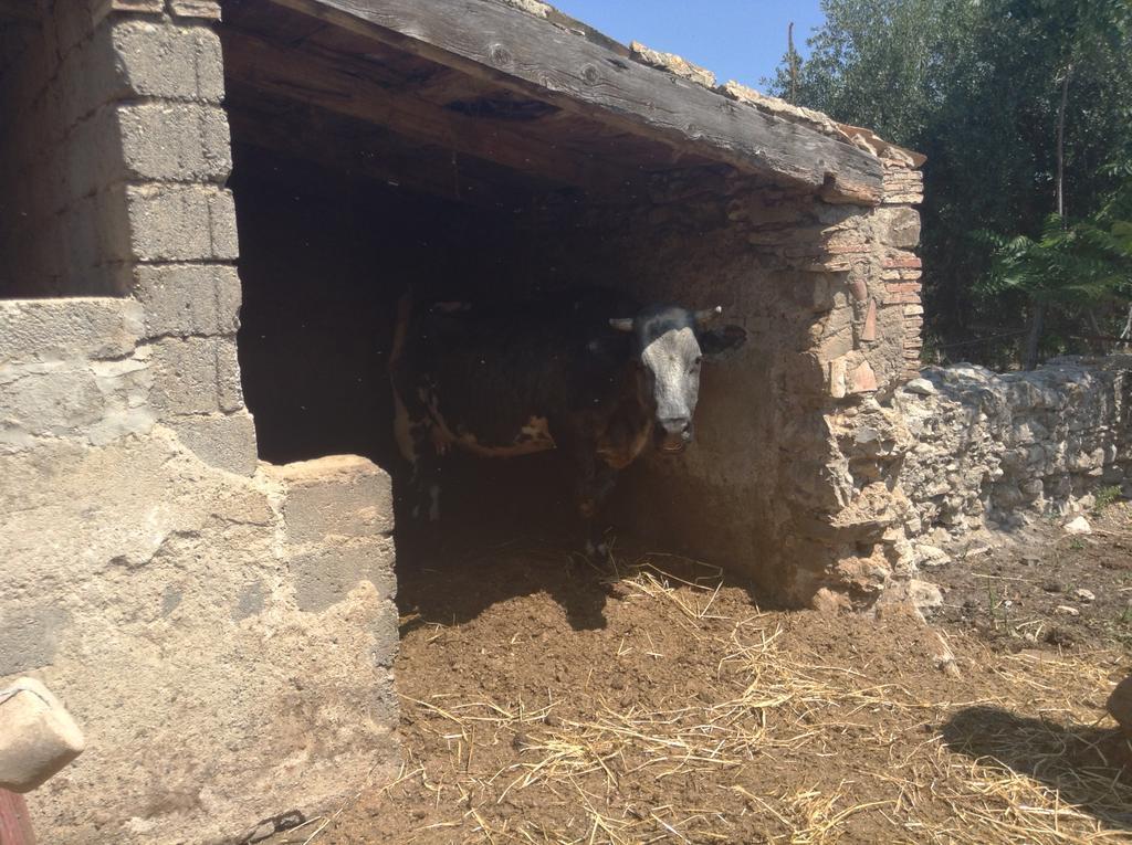 فيلا Antico Frantoio Cerchiara di Calabria المظهر الخارجي الصورة